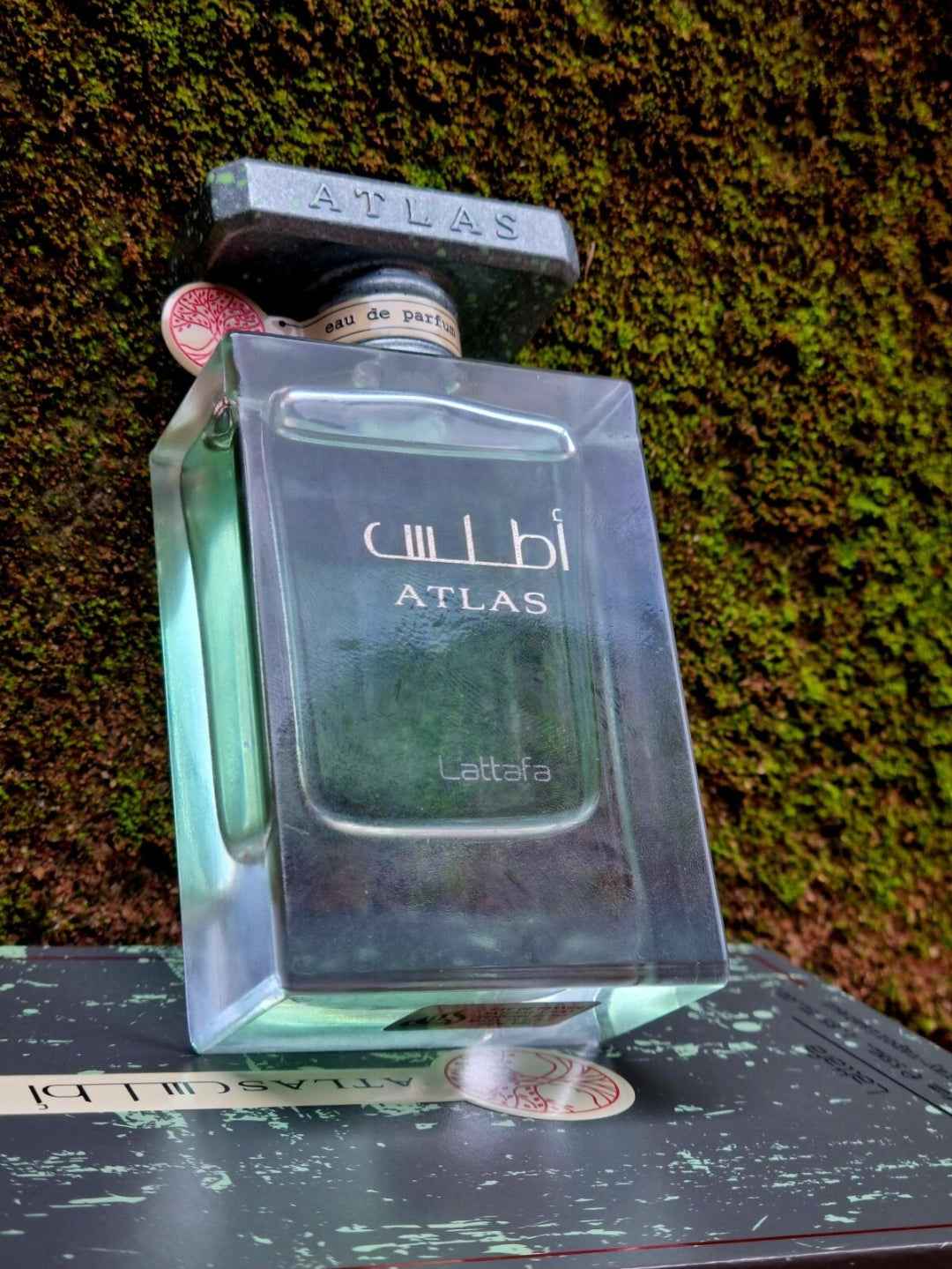 LATTAFA ATLAS EDP 55 ML - refreshing Summer Fragrance for All