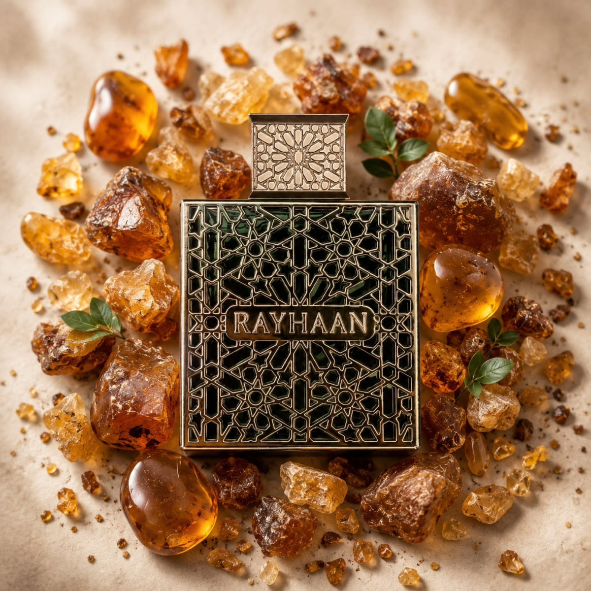 Rayhaan Terra 100ml EDP