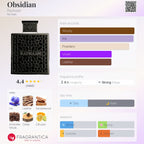 Rayhaan Obsidian 100ml EDP