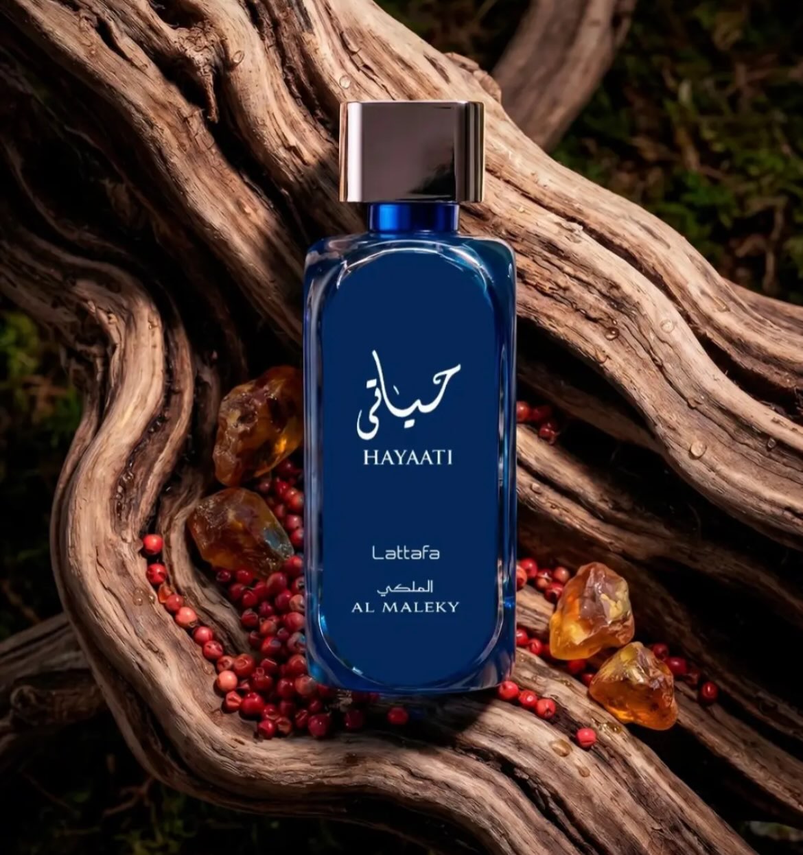 Lattafa Hayaati Al Maleki 100 ML EDP