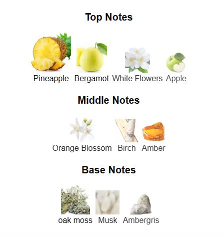 Afnan Supremacy Collectors Edition EDP 100 ML Pour Homme