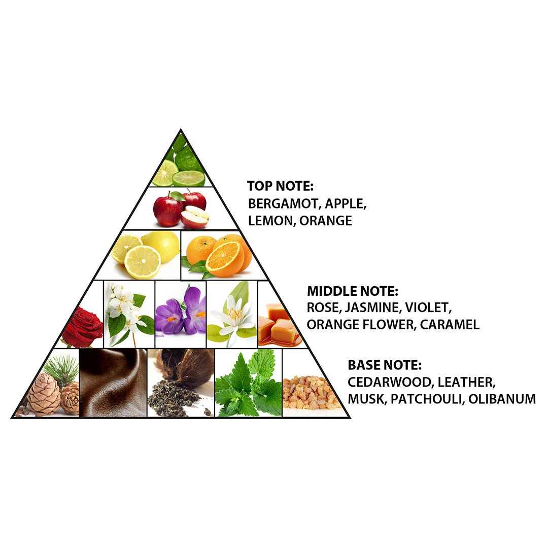 DESERT - Discover the Natural Wonders of Arid Landscapes