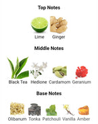 AROMATIX TEAS ME - Premium Fragrance