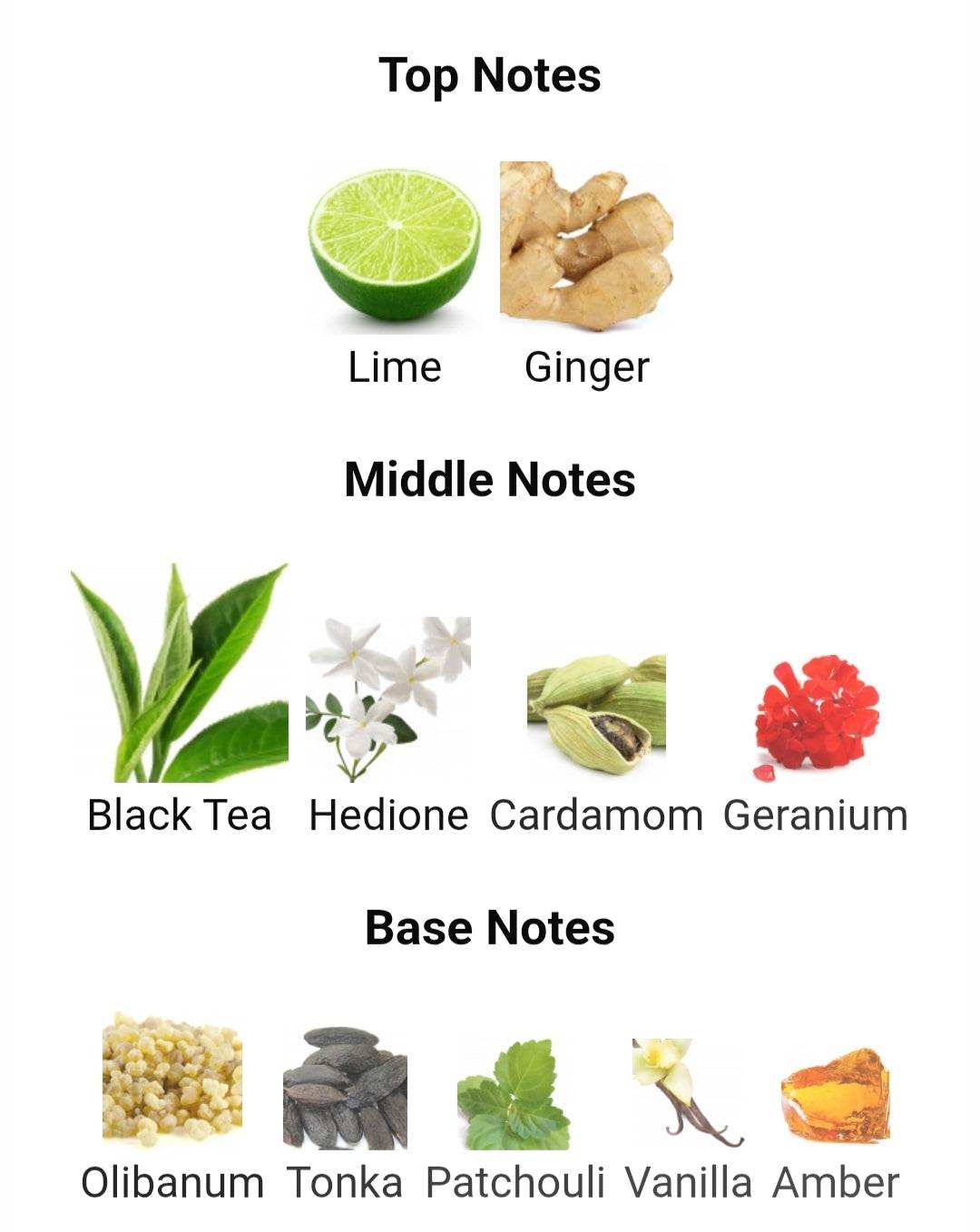 AROMATIX TEAS ME - Premium Fragrance
