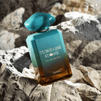 TORQUISE STONE