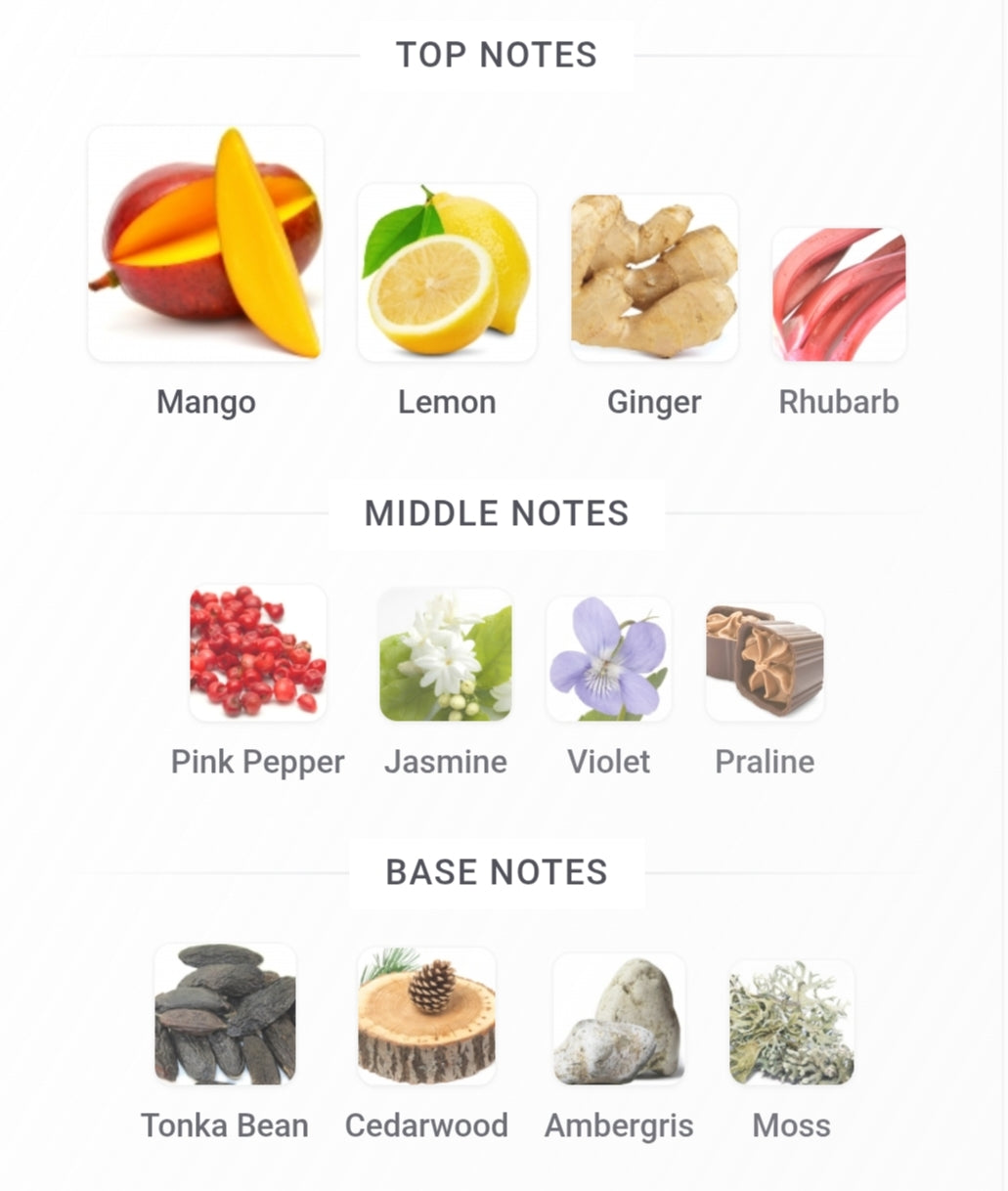 Vulcan Feu 100 ML EDP French Avenue