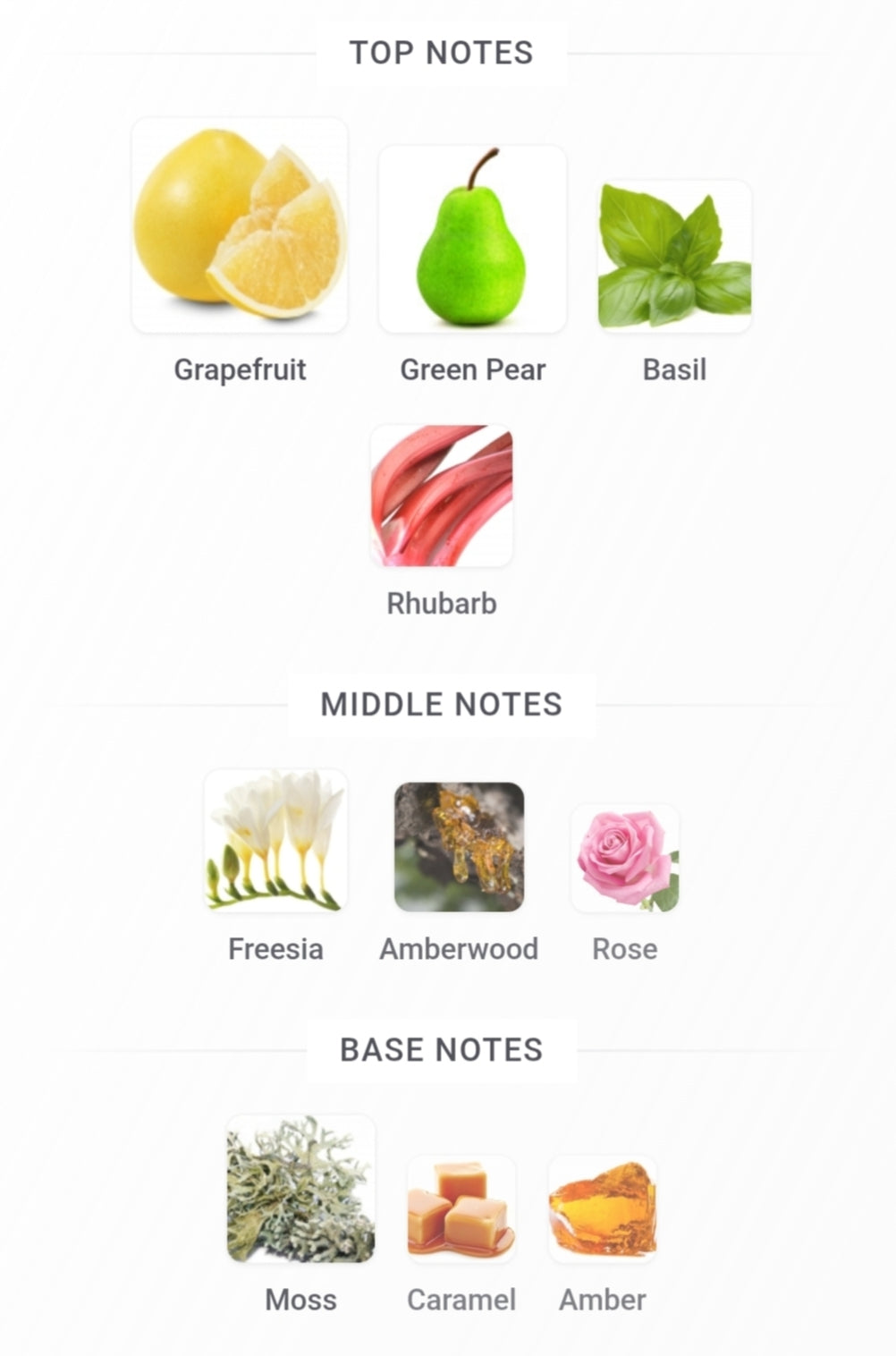 NASEEM 110 ML EDP by Gulf Orchid - Luxurious summer Fragrance for Lasting Impressions