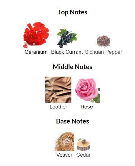 EMIR IDENTITY ROSE & LEATHER