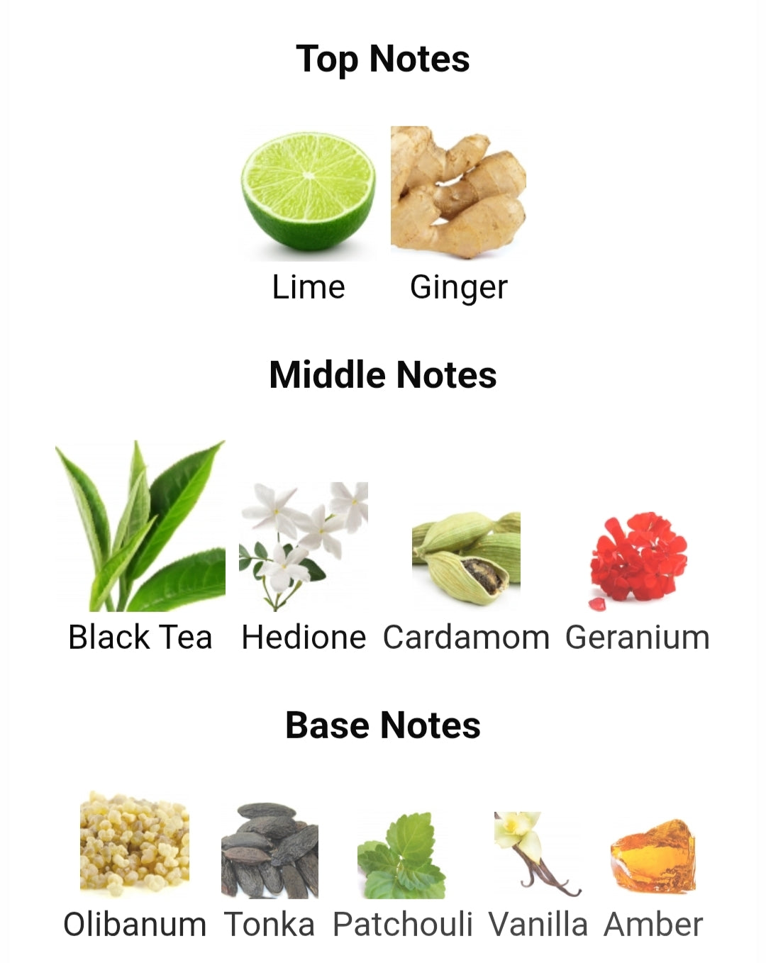 AROMATIX TEAS ME - Premium Fragrance