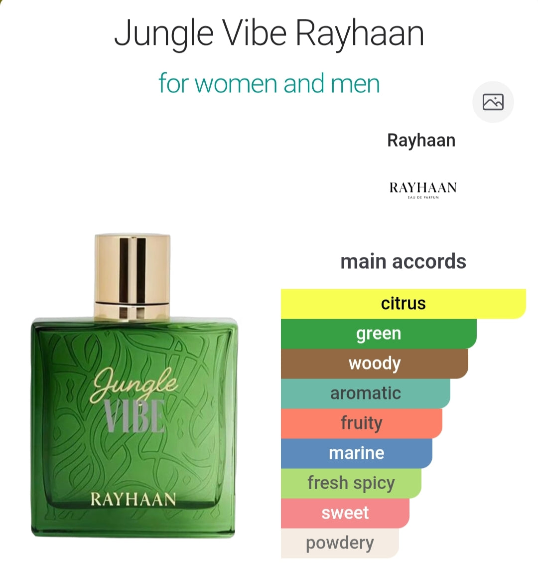 Rayhaan Jungle Vibe 100 ML EDP