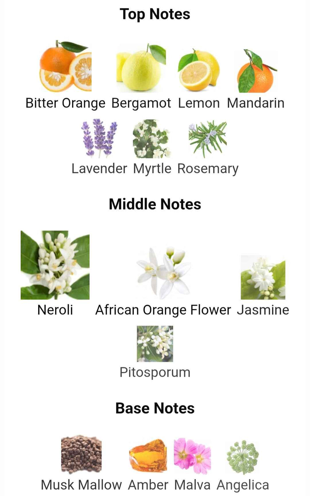 NEROLI RIVIERA 80 ML EDP