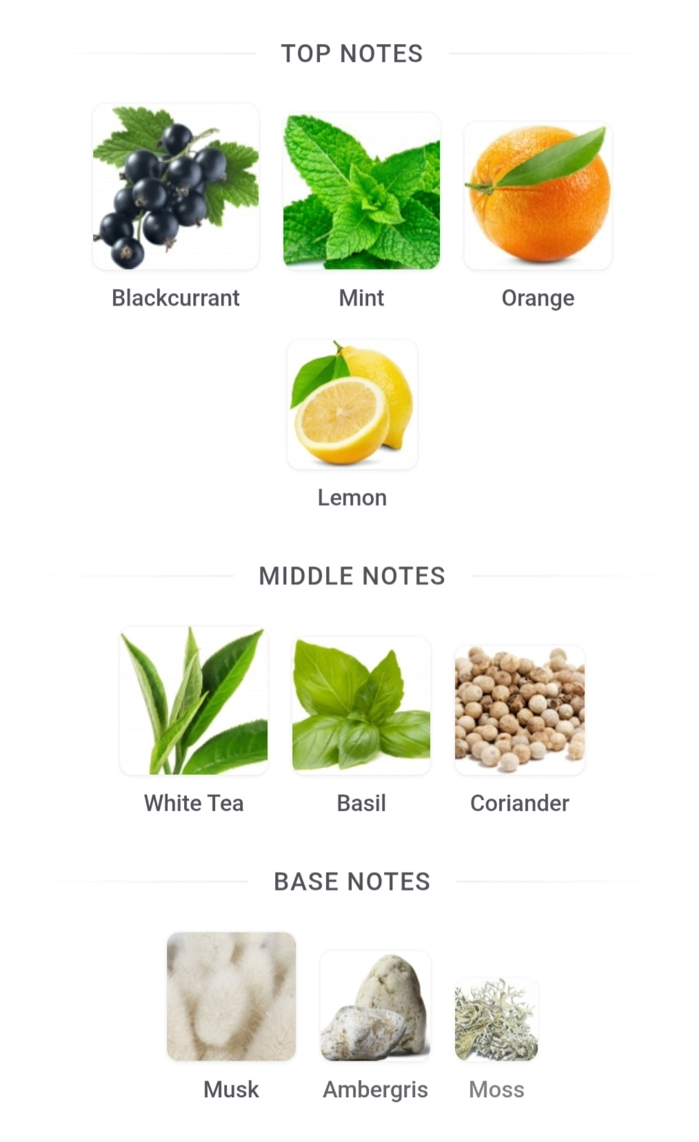 Atralia Absolute Chill by Atralia 100ml Eau de Parfum (EDP)