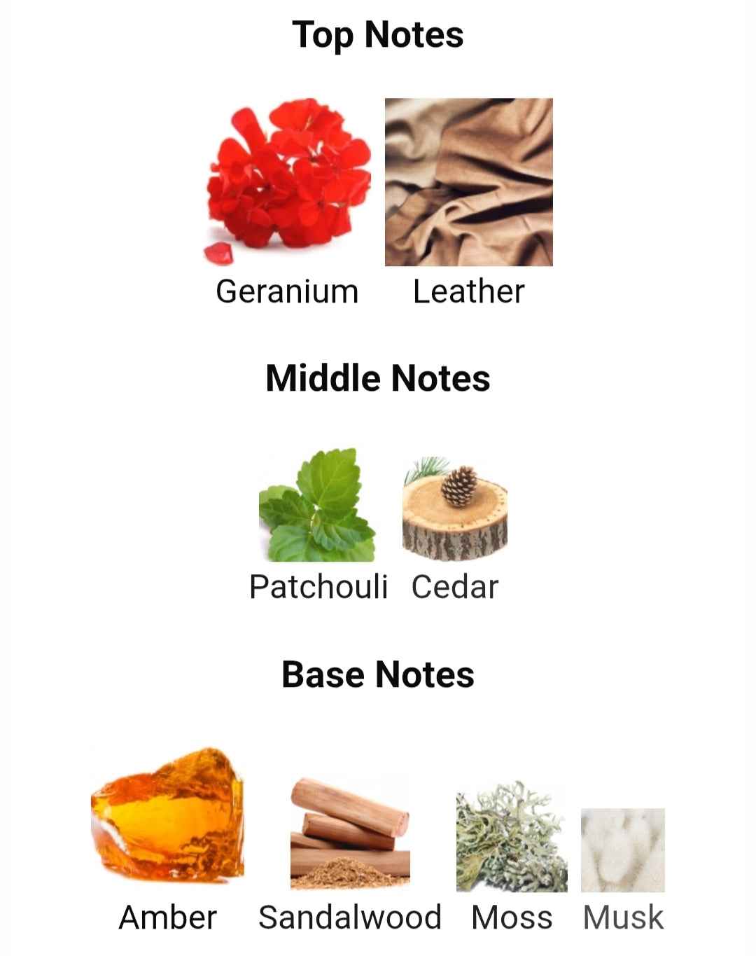 IGNITE OUD 60 ML EDP