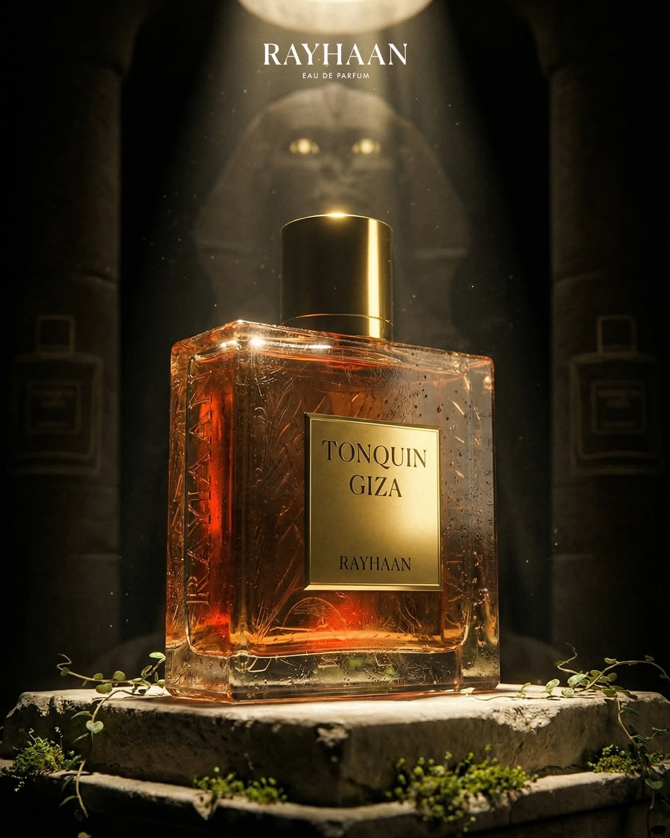 Rayhaan Tonquin Giza Perfume 100 ML EDP