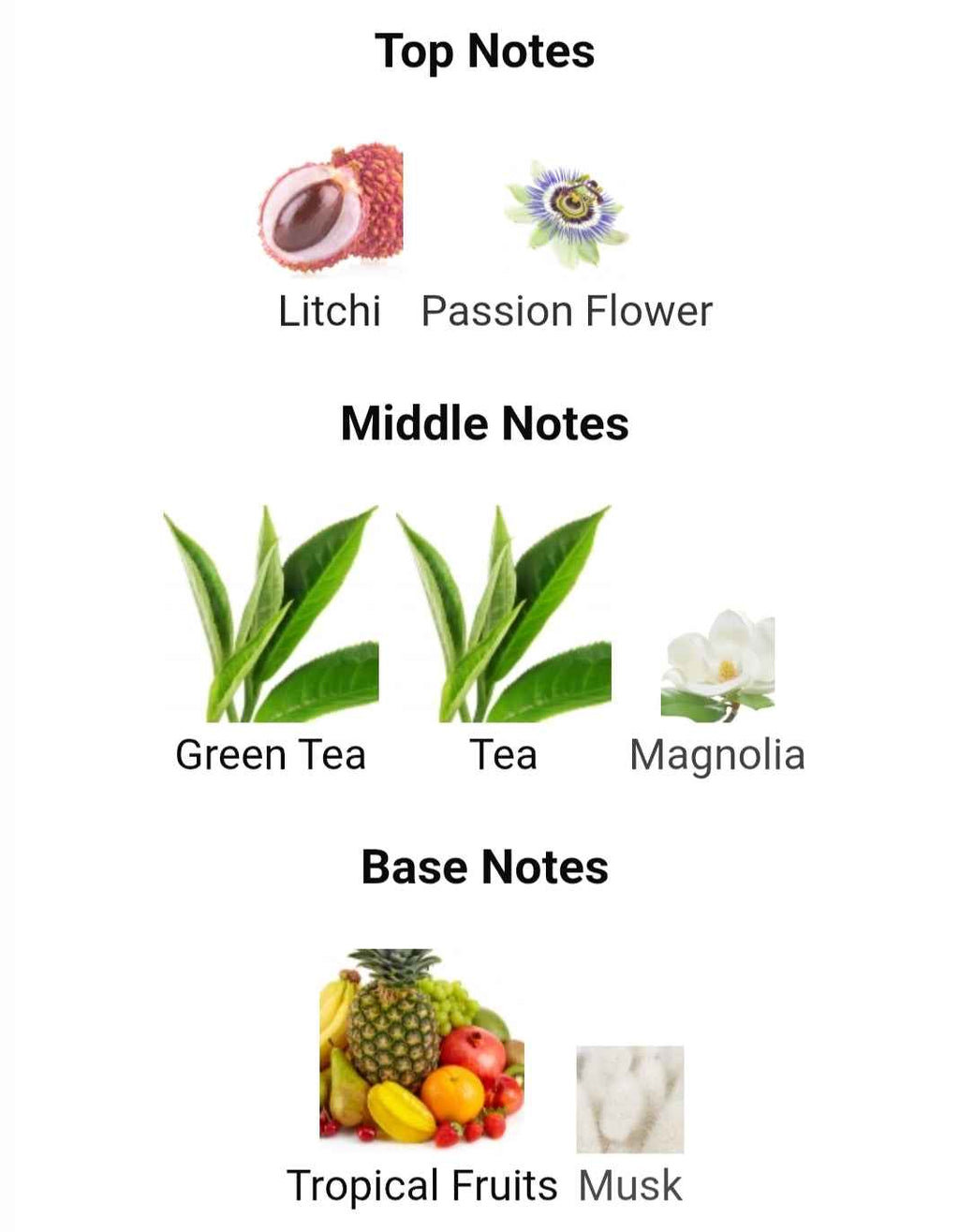 GREEN TEA TROPICAL ELIZABETH ARDEN