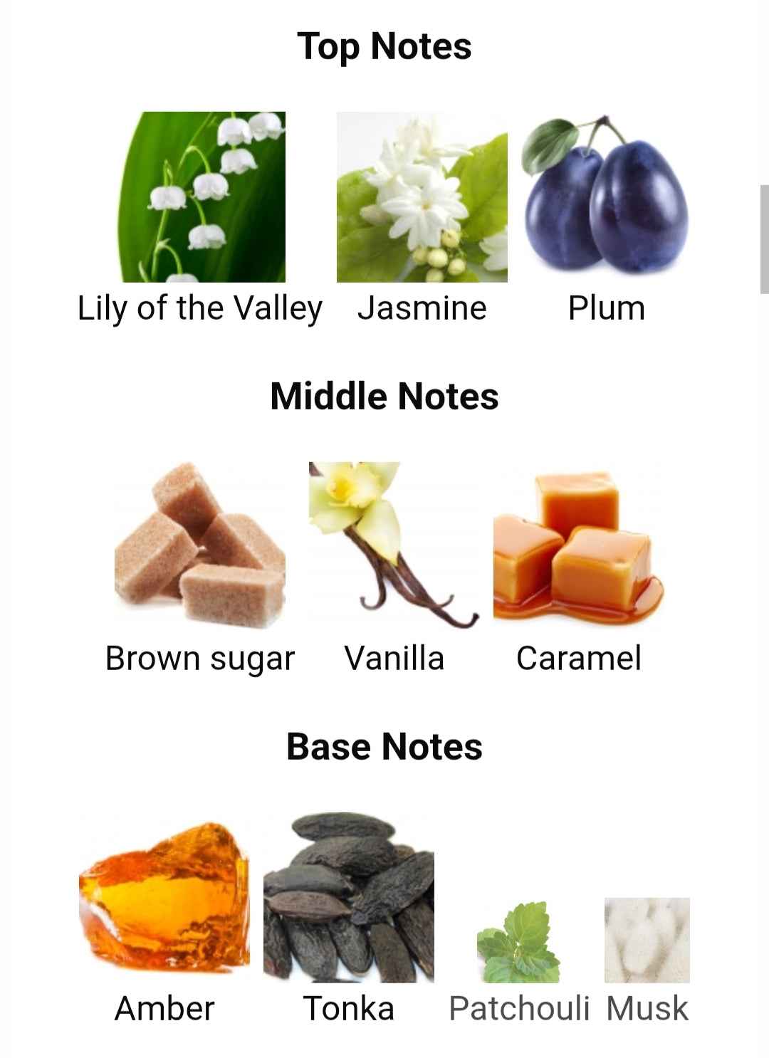 Vanilla Seduction: Irresistible Vanilla Fragrance for Women