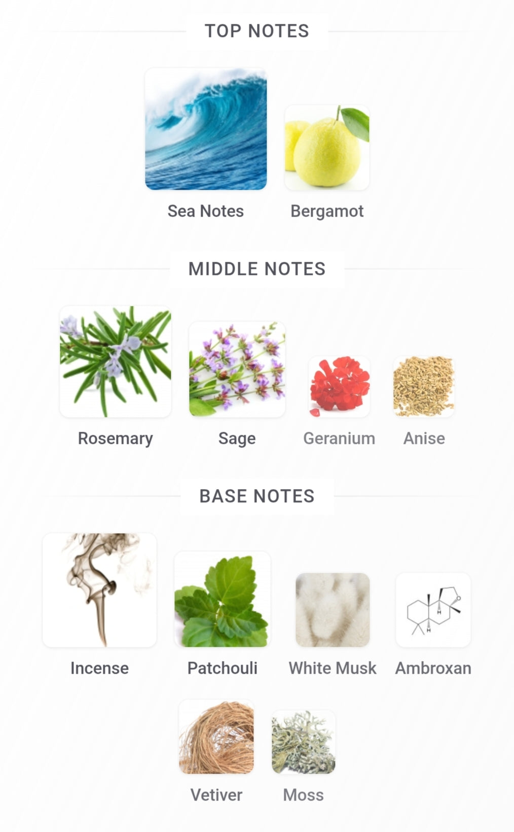 Aqua Oud 90 ML Eau De Perfume for men | Ahmed Al Maghribi