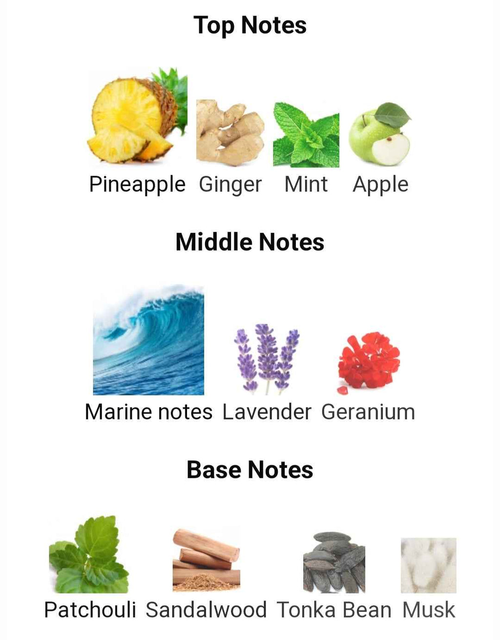 LATTAFA NAJDIA INTENSE