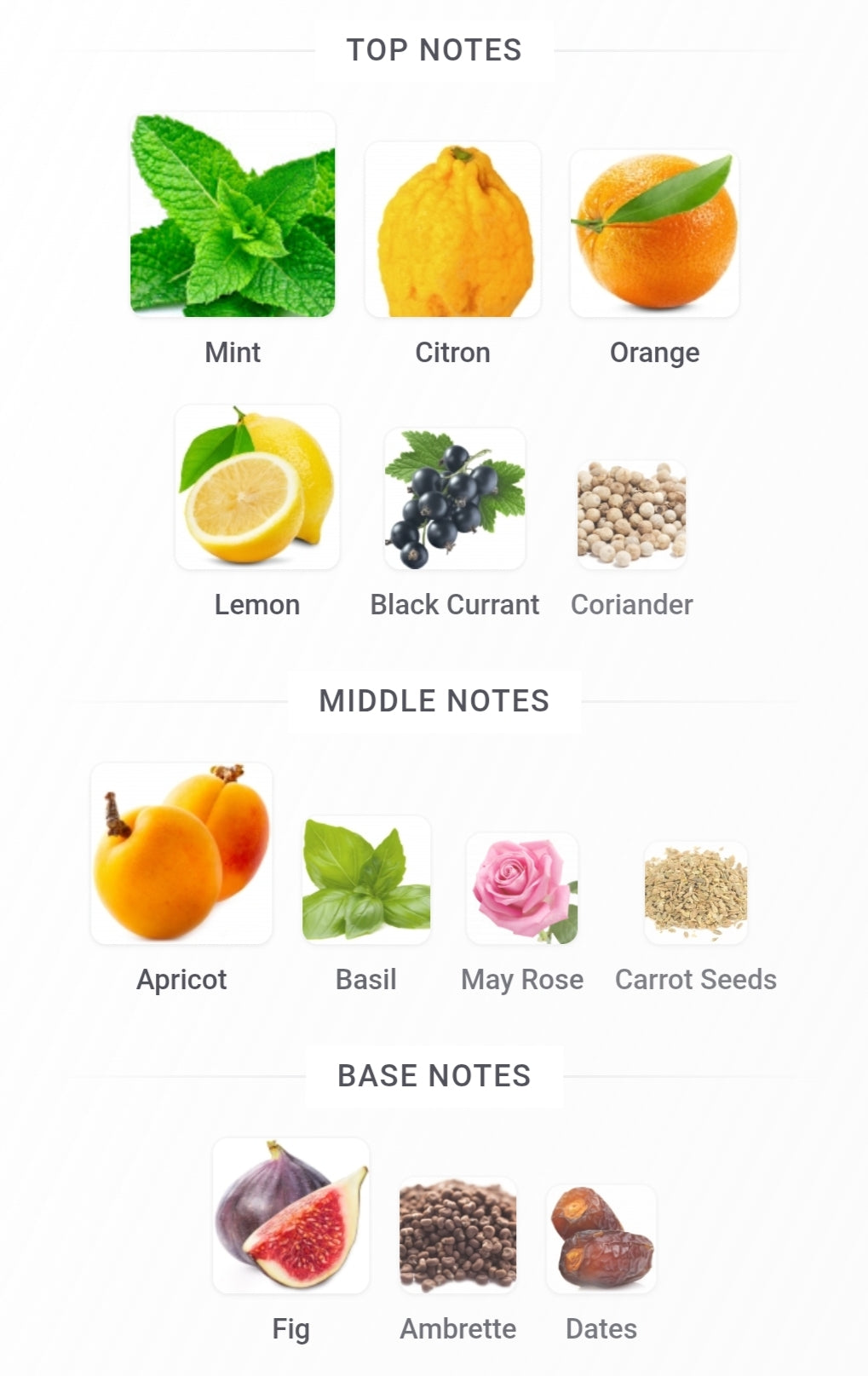 Jean Lowe Vibe 90 ML EDP By Maison Alhambra