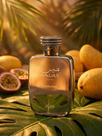 Hawas Crome 100 ML EDP by Rasasi