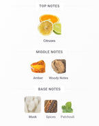 Rue Broca Theoreme Homme for Men