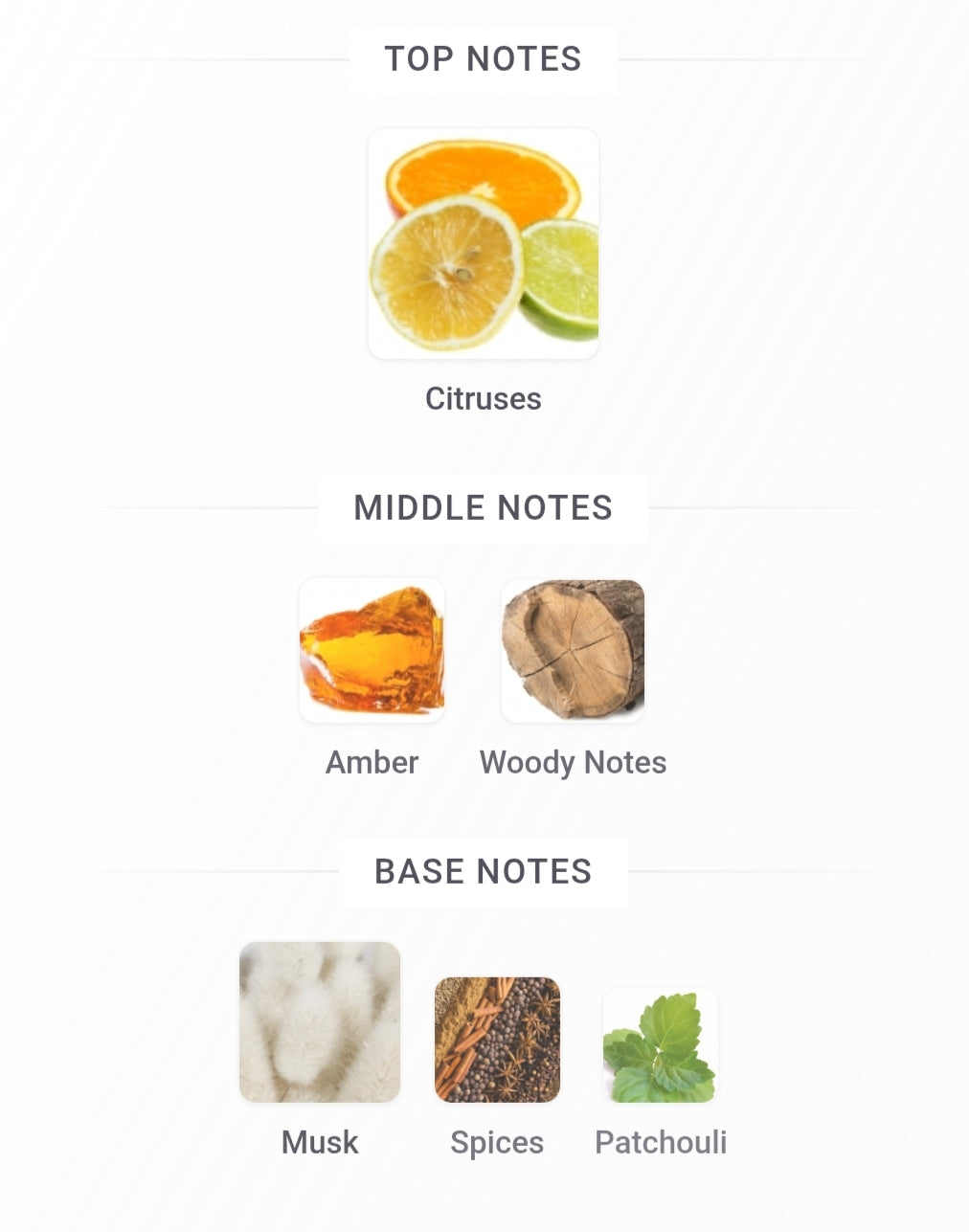 Rue Broca Theoreme Homme for Men