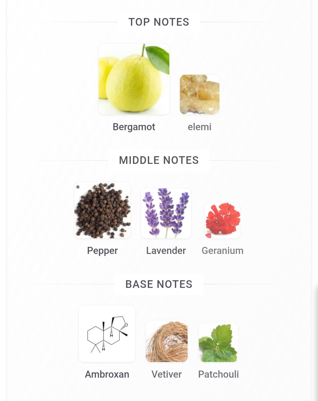 Zenith Blue Perfume 100ml EDP French Avenue