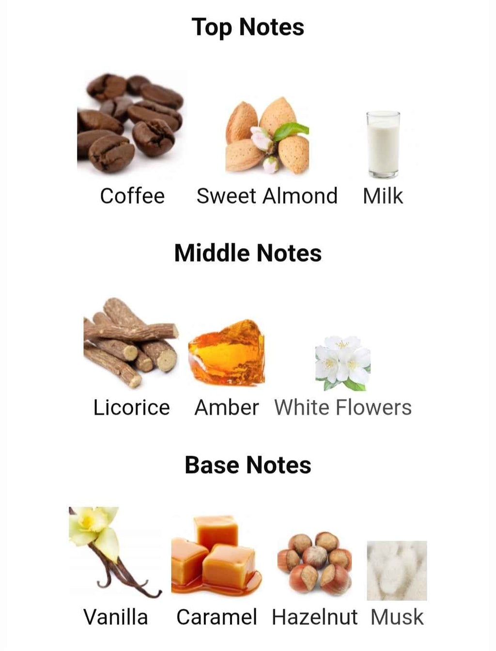 Coffee Blend - Premium Winter Fragrance for Cozy Comfort