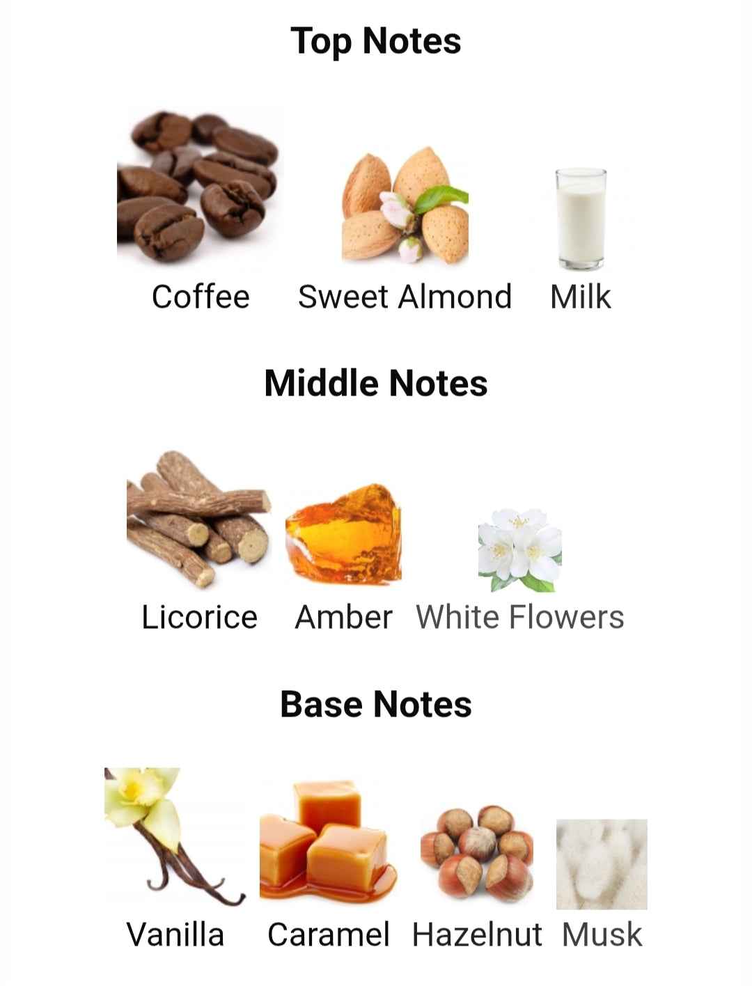 Coffee Blend - Premium Winter Fragrance for Cozy Comfort