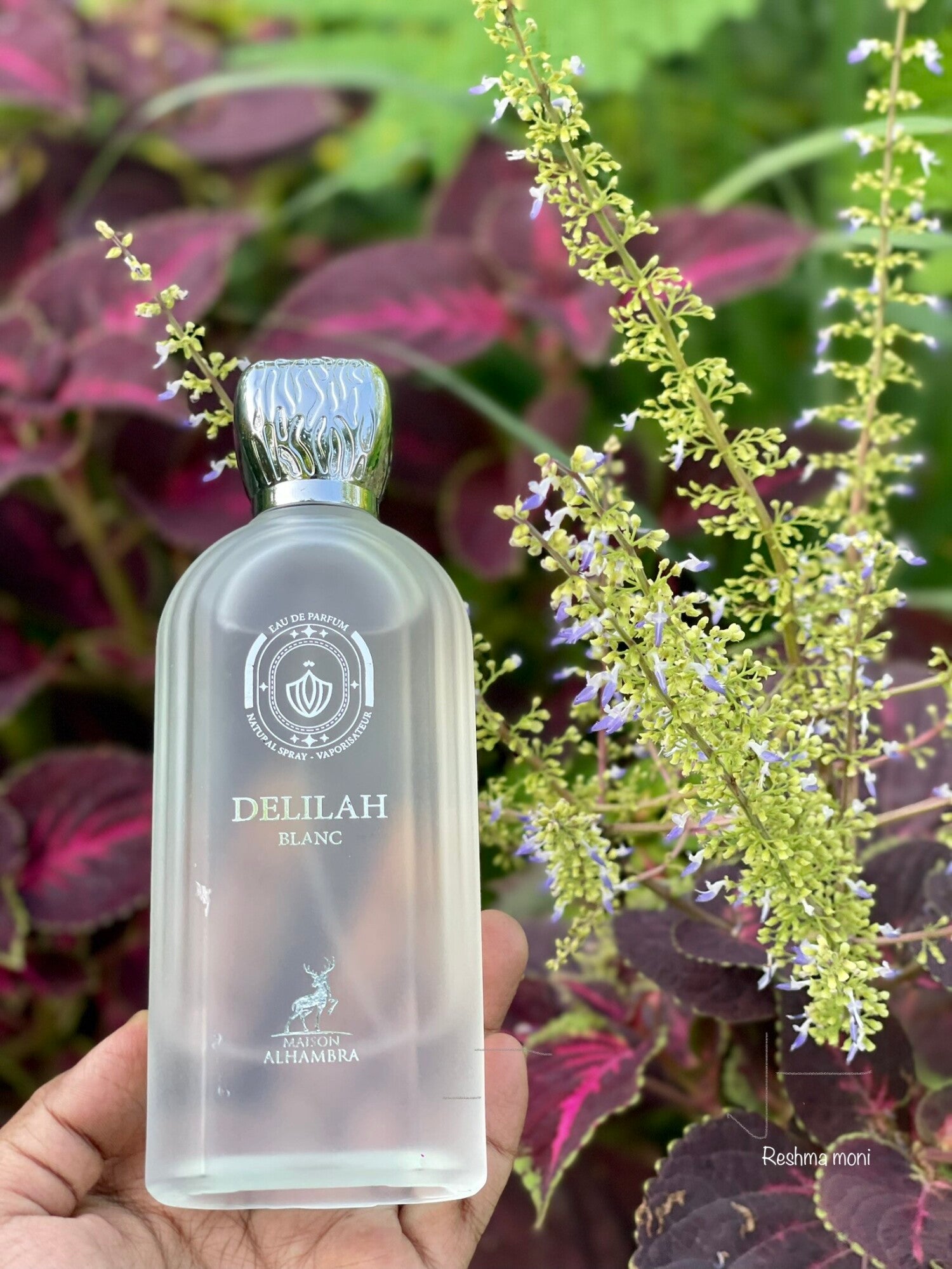 Delilah Blanc 100 ML EDP By Maison Alhambra