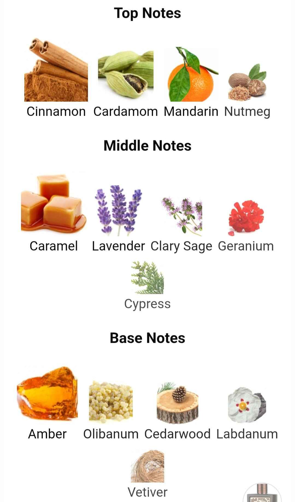 QAED AL FURSAN UNTAMED