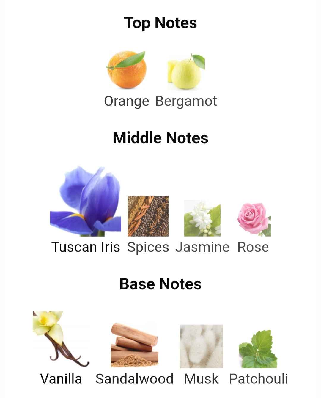 Kayaan Classic Unisex Eau De Parfum 100ml - Al Wataniah Signature Fragrance