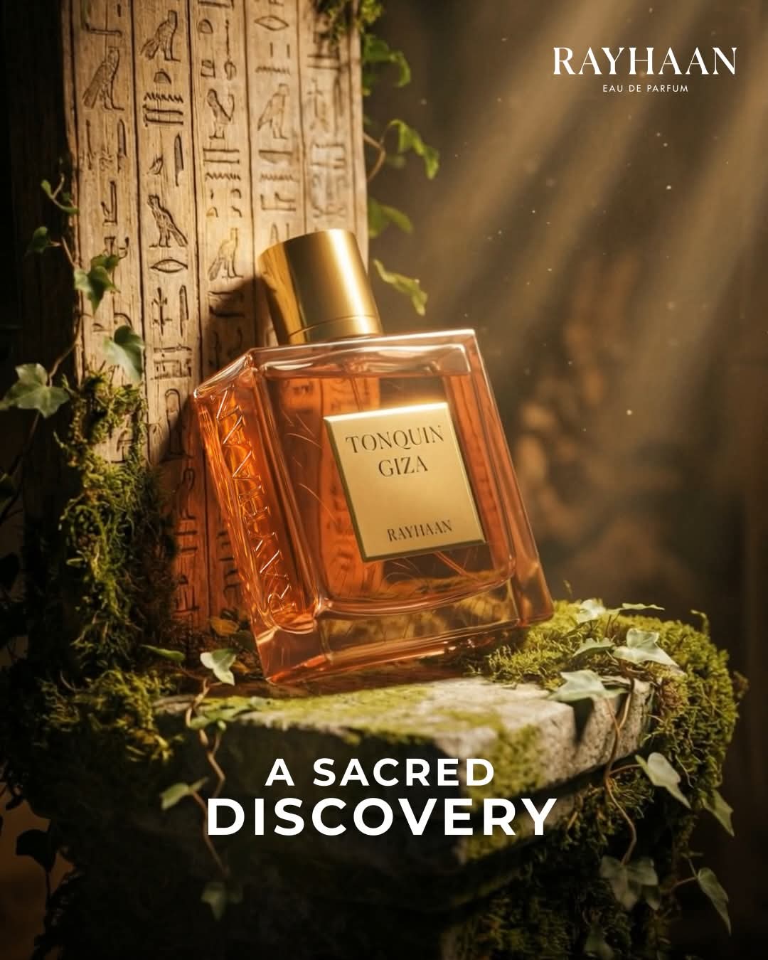 Rayhaan Tonquin Giza Perfume 100 ML EDP