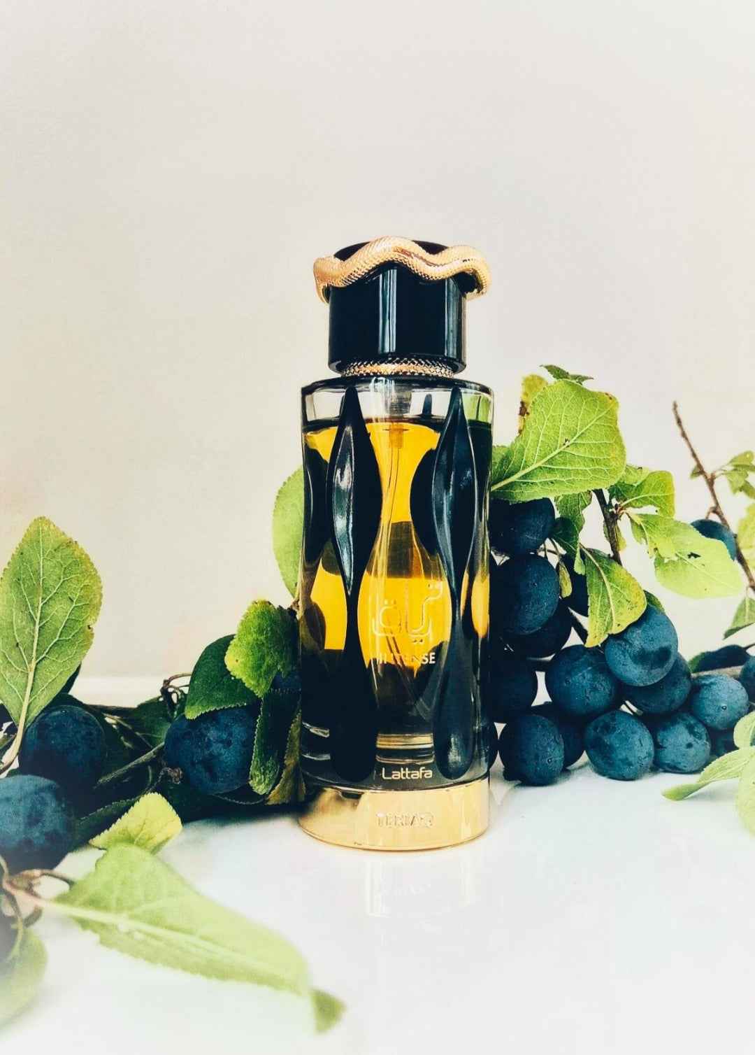 LATTFA TERIAQ INTENSE