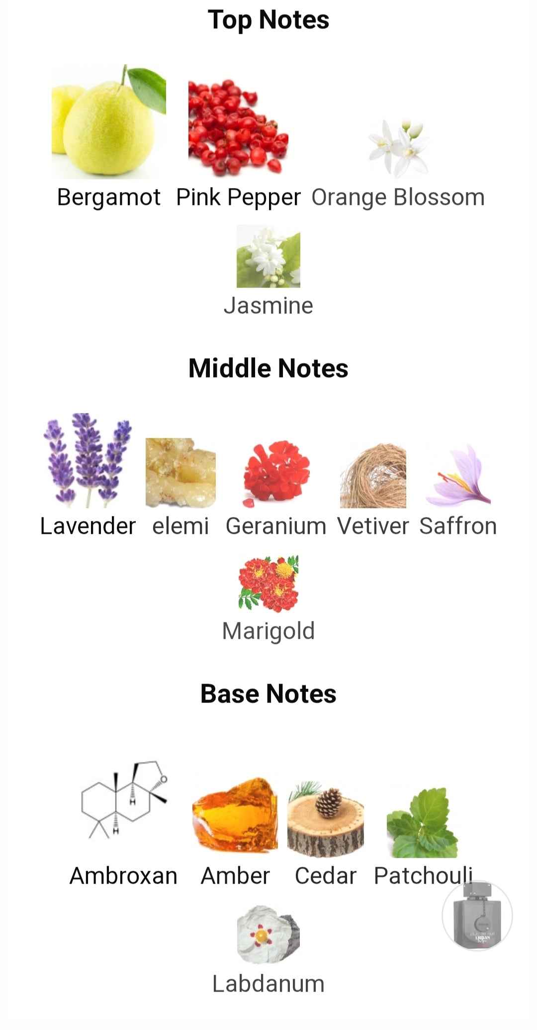 CLUB DE NUIT URBAN MAN ELIXIR