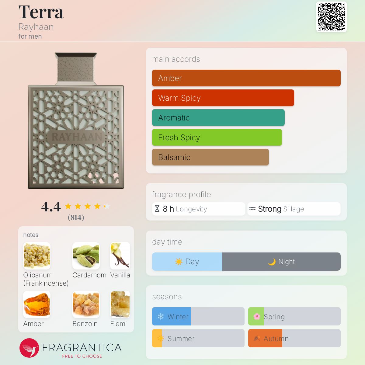 Rayhaan Terra 100 ML EDP - Captivating Essence for Every Occasion