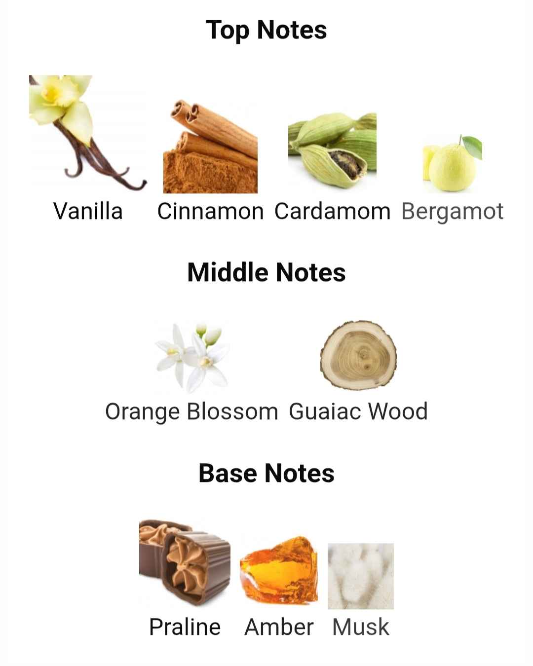 KHADLAJ VANILLA DUNES