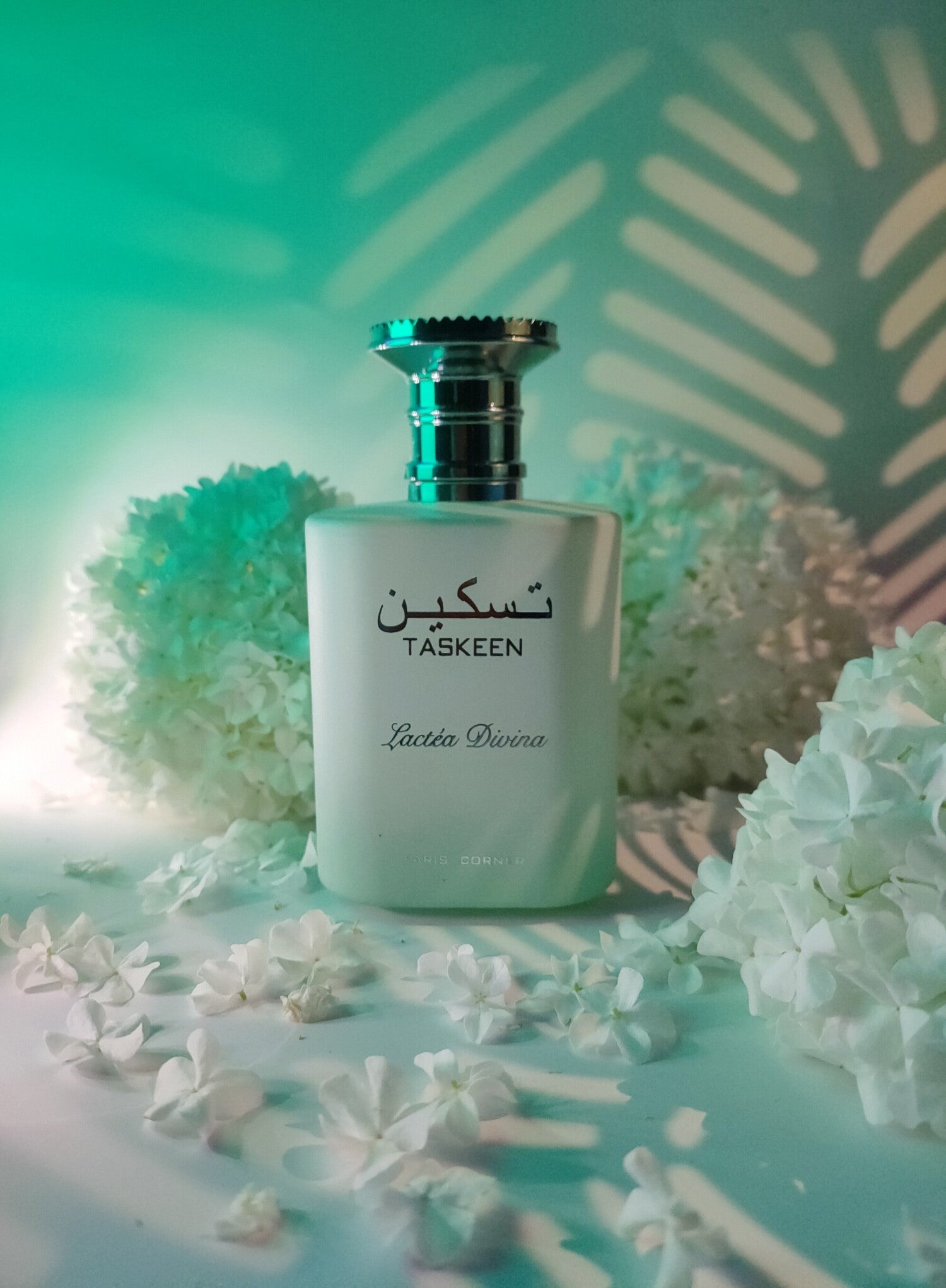 Taskeen Lactéa Divina 100ML EDP By Paris Corner