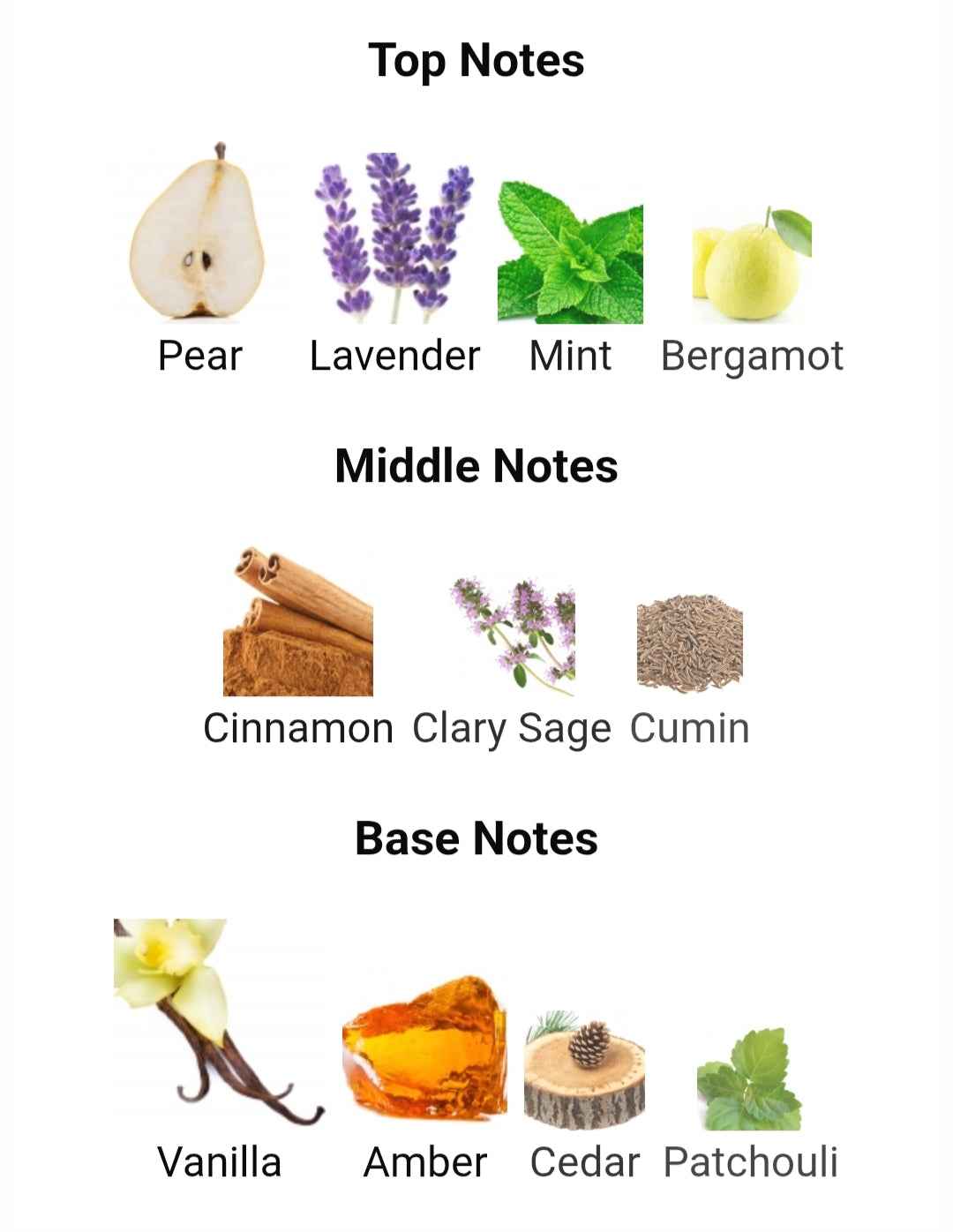 RAYHAAN LION 100 ML EDP