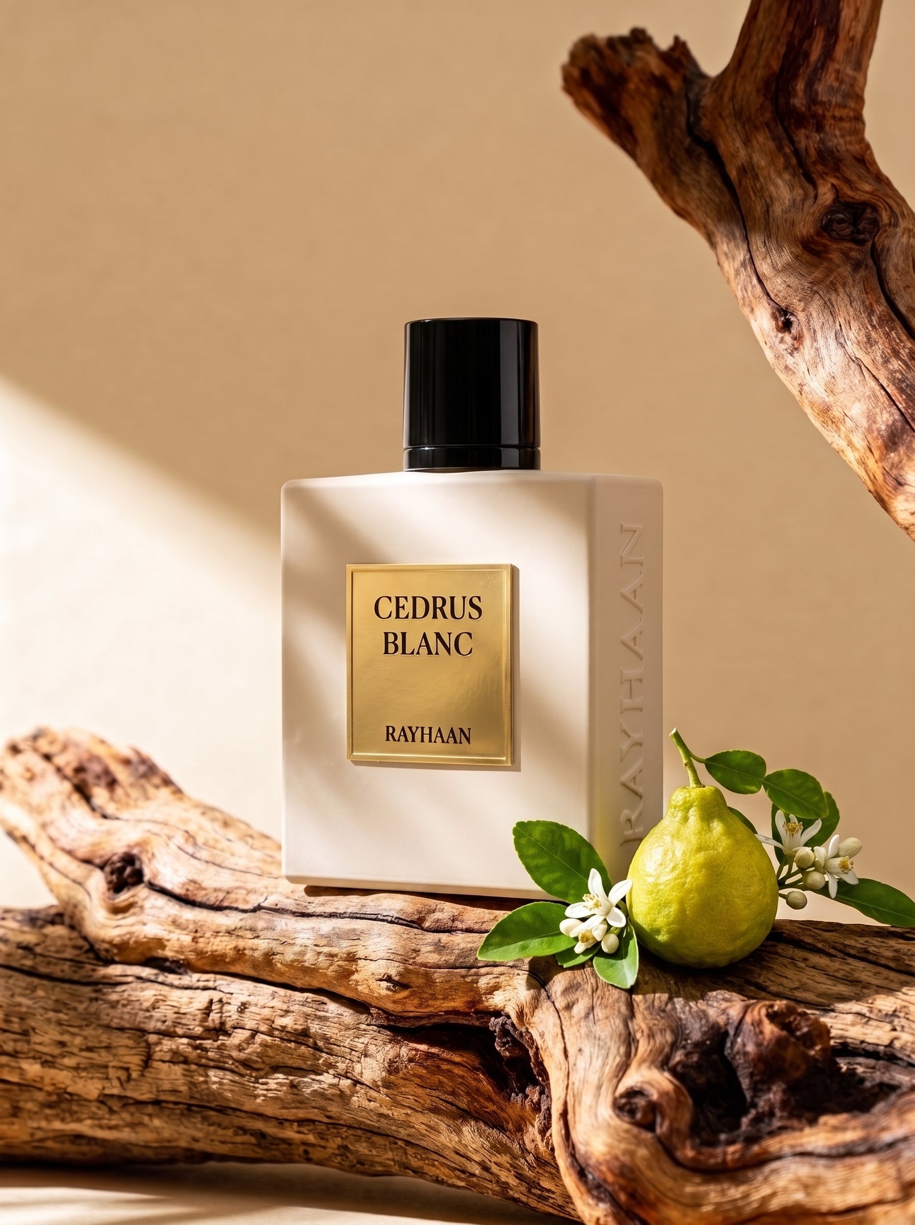 Rayhaan Cedrus Blanc 100 ML EDP