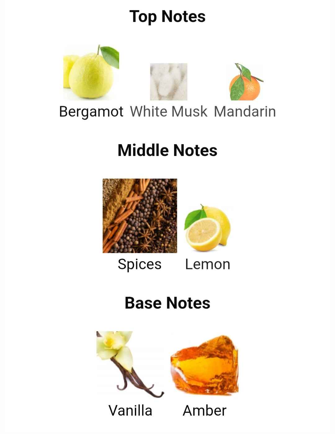 LATTAFA ATLAS 55 ML EDP