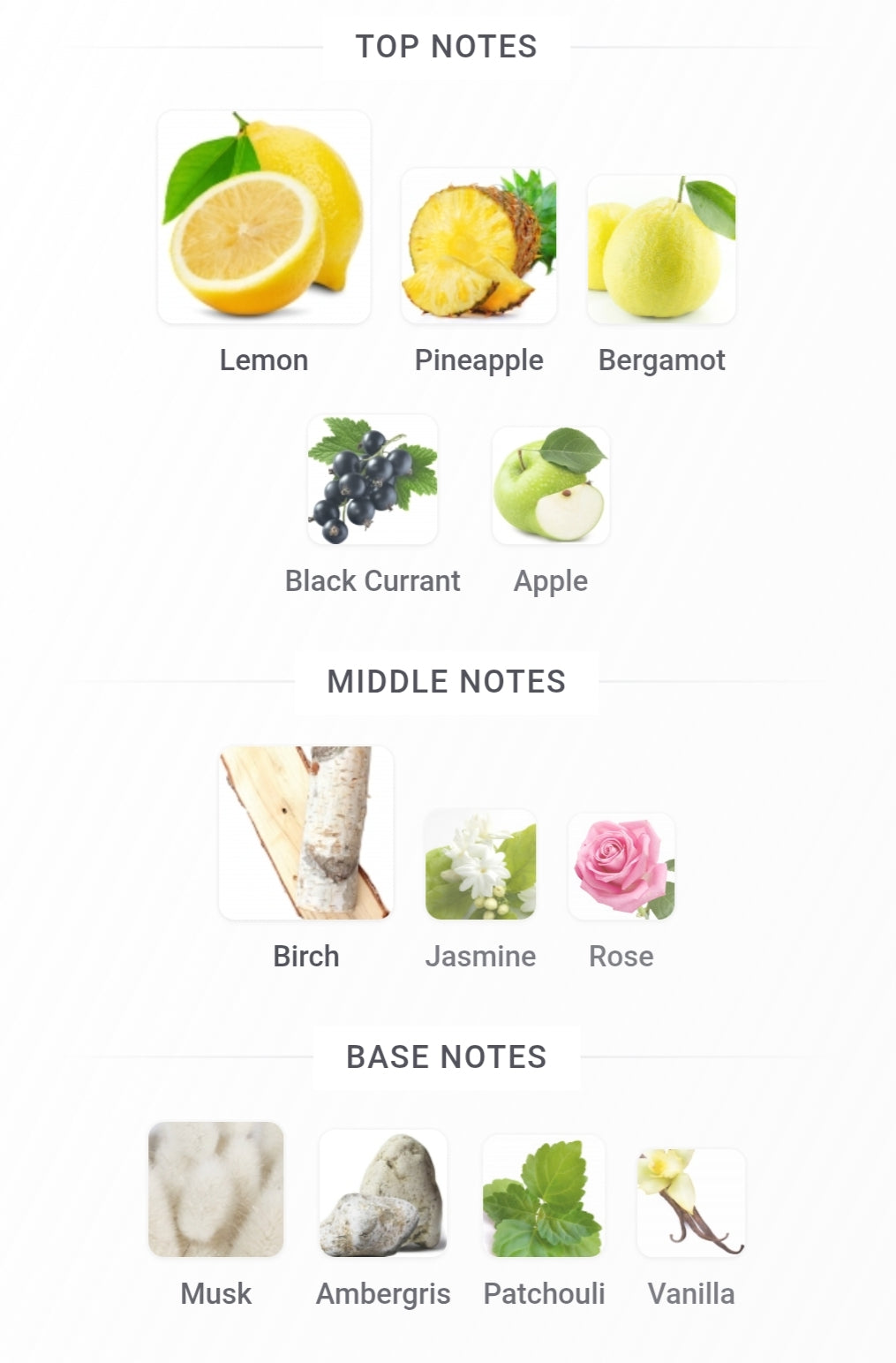 Armaf Club de Nuit Intense Man 105 ML (CDNIM)