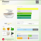 PINNACE