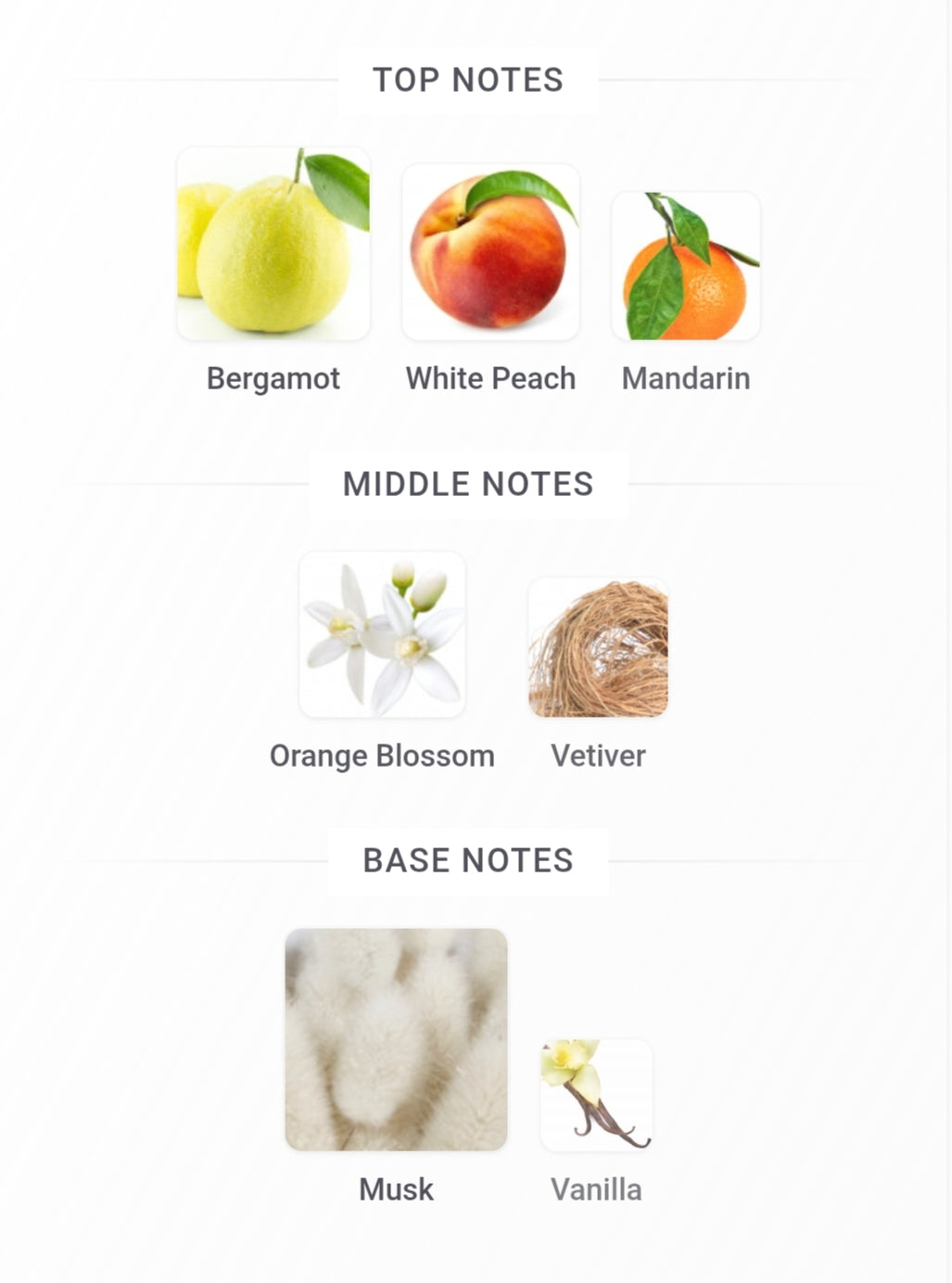Delilah Blanc 100 ML EDP By Maison Alhambra