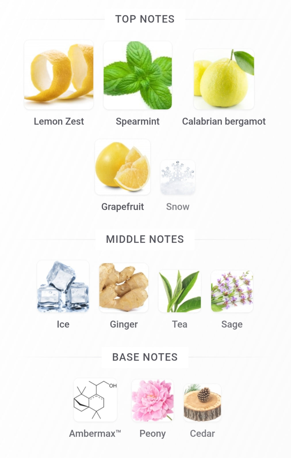 Freeze by Riiffs - Refreshing Perfume Extract - 100 ML