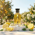 Jean Lowe Summer Vibes 100 ML EDP By Maison Al Hambra