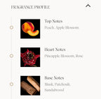 Endless 100 ML EDP By Ahmed Al Maghribi