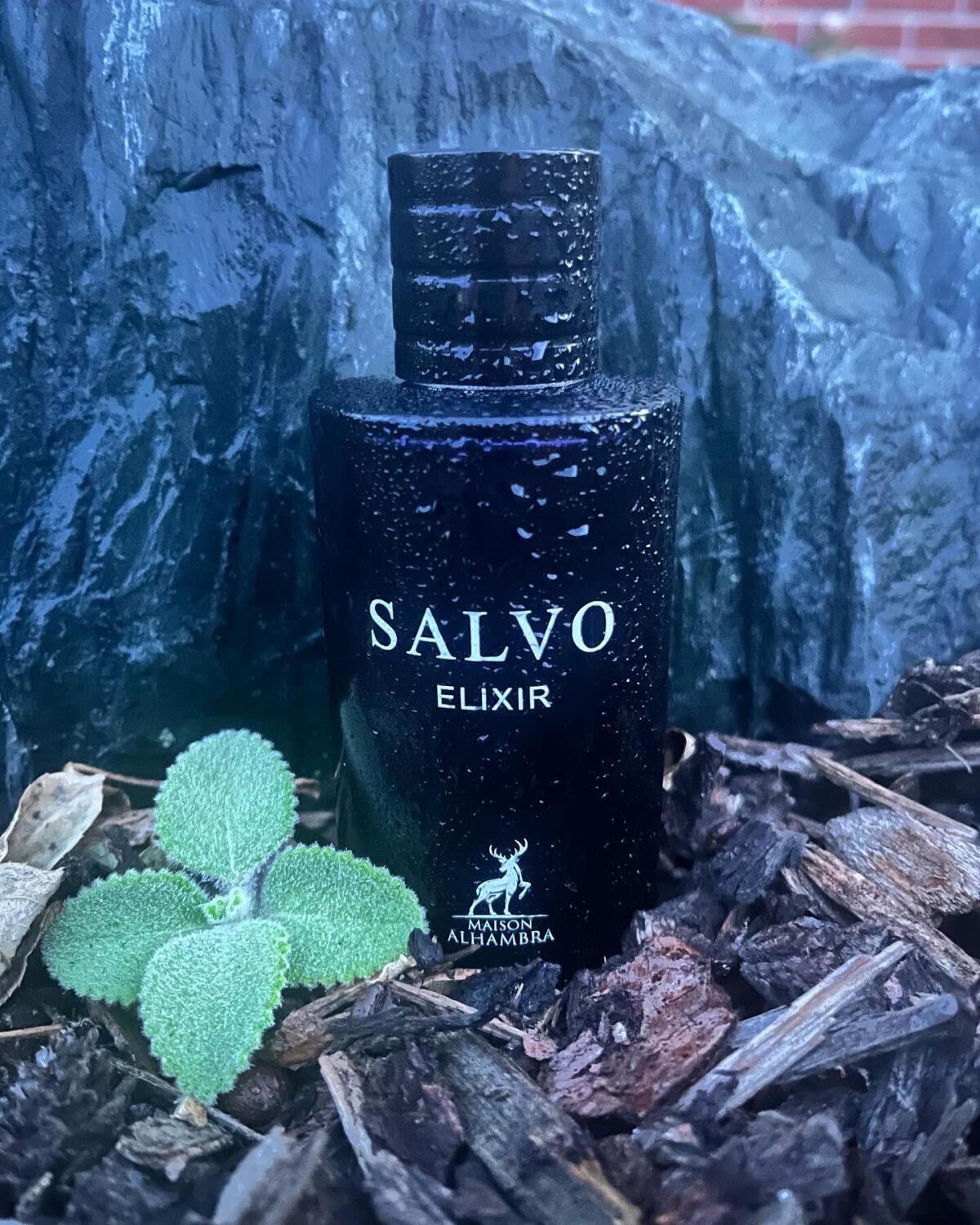 Salvo Elixir Perfume 60ml EDP Maison Alhambra