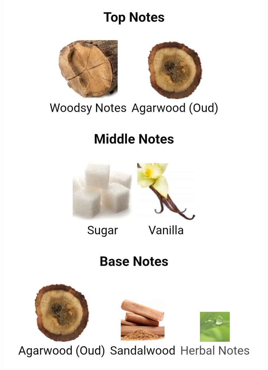 AMEER AL OUDH INTENSE OUD LATTAFA