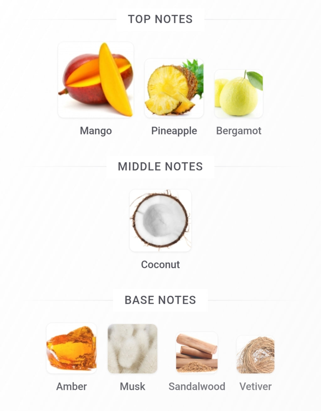 Rayhaan Tropical Vibe 100 ML EDP